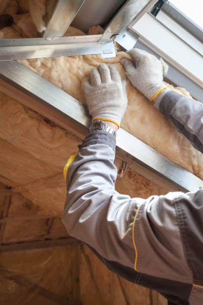 Best Local Insulation Services  in New London, WI